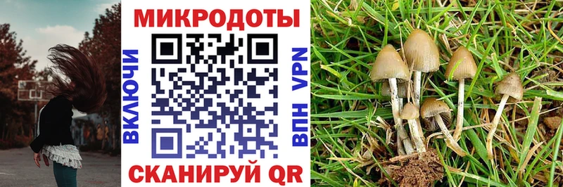 darknet официальный сайт Нурлат Псилоцибиновые грибы Cubensis даркнет сайт