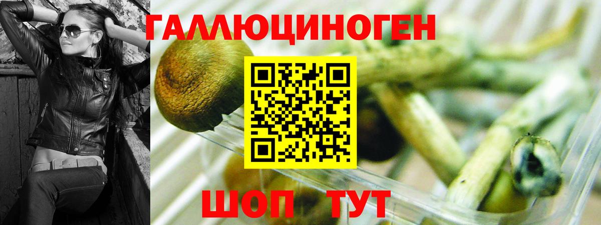 Нурлат  Псилоцибиновые грибы мухоморы  Вход с VPN  купить наркоту  Галлюциногенные грибы GOLDEN TEACHER 