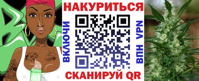 мориарти телеграм  где найти   Нурлат  Шишки марихуана сатива 